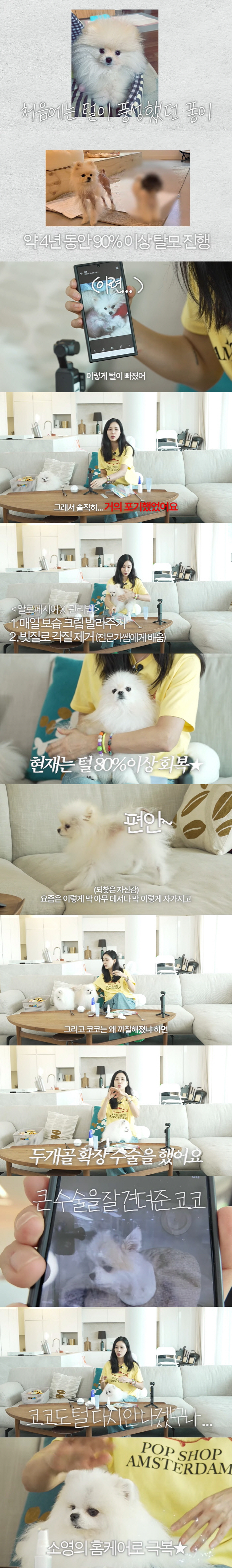 Ko So-young confesses to the condition of her 5-year-old dog that she gave up, and hair loss is more than 90% for 4 years (the very same Ko So-young)