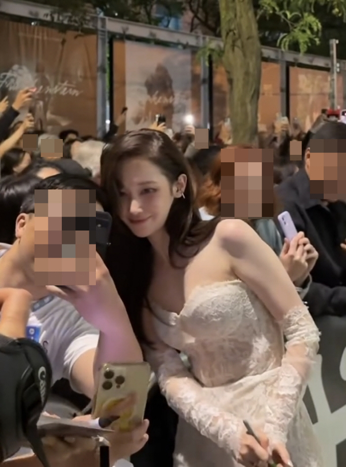 Jeon Jong-seo, if you only wear a dress, controversy over pelvic plastic surgery..I ripped it with a Toronto see-through dress