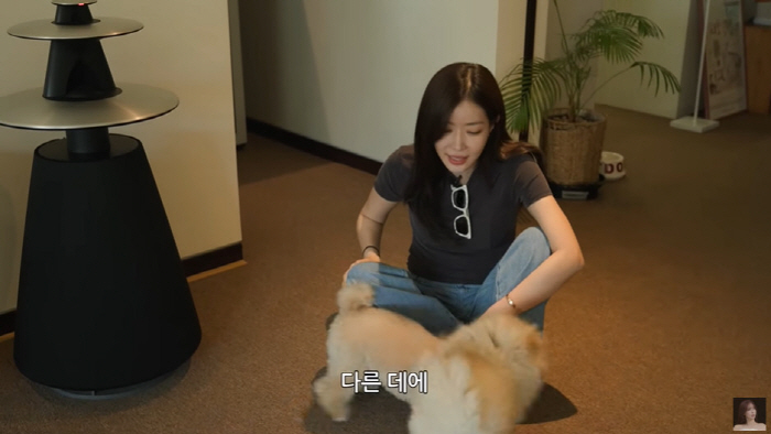 Lim Soo-hyang was stabbed in the back while preparing to move to 62 pyeong of Cheongdam-dongHand it over to somewhere else on the day of the contract