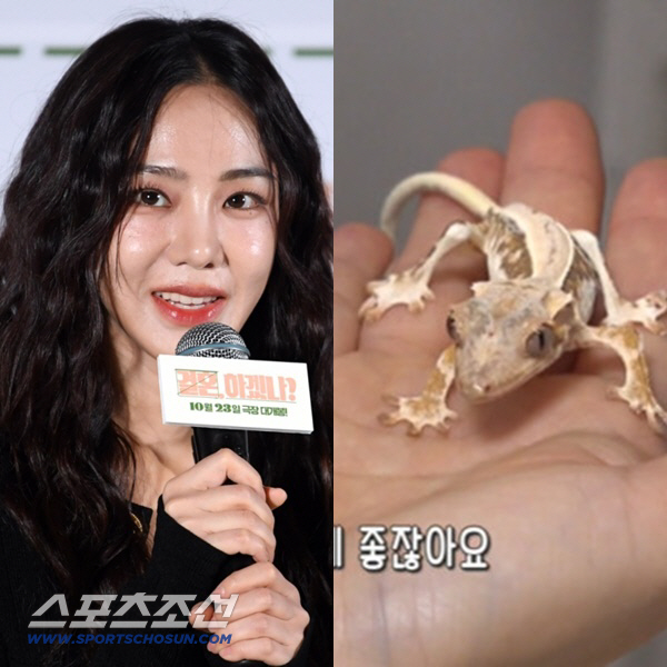 Han Ji-eun, a lizard with only controversial bones of animal abuse, is on the verge of death