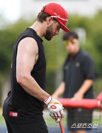  Wisdom in batting training