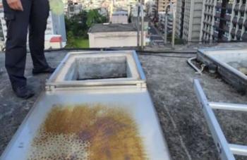 Bad smell complaints from the water...Body found in a water tank on the roof of an apartment building