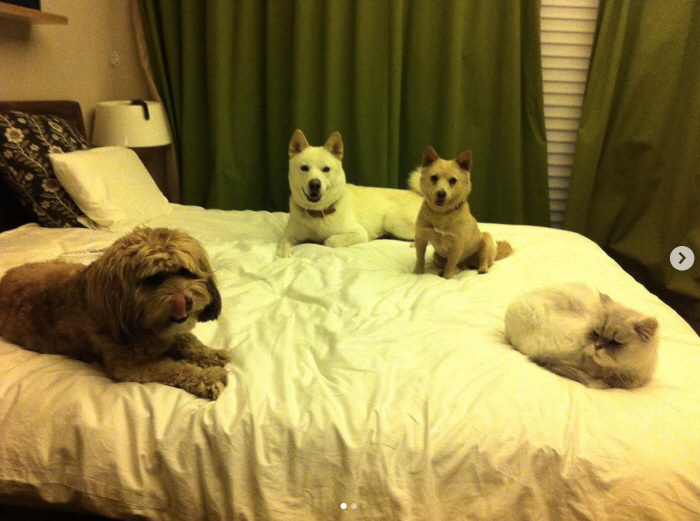 Lee Hyo-ri ♥ Lee Sang-soon, memories of pets left..Soon-Shim → Full of longing for Mimi