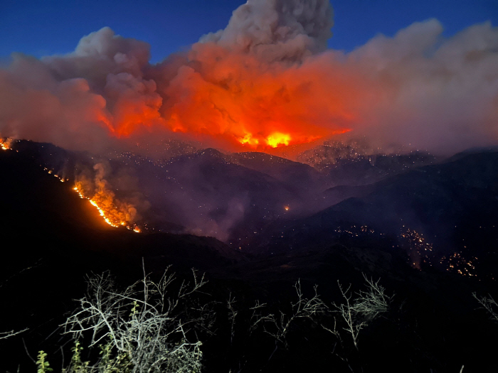 Hazardous substances such as ultrafine dust in forest fire smoke and adverse effects on health...There will be 1.4 million premature deaths a year around the world