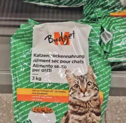 Eating with cat food and blood donation...Swiss Student's Extreme Saving Topic