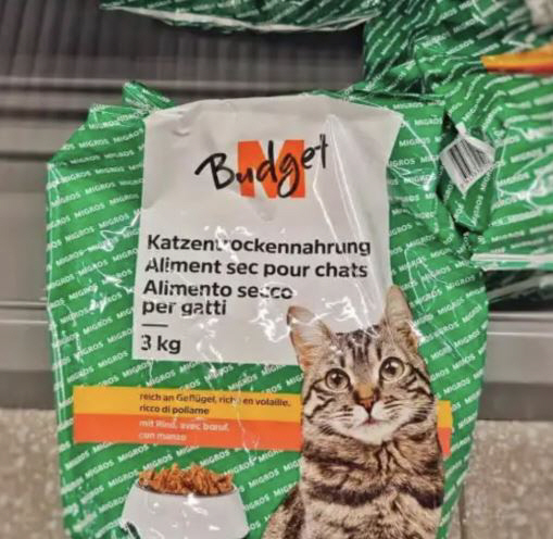 Eating with cat food and blood donation...Swiss Student's Extreme Saving Topic