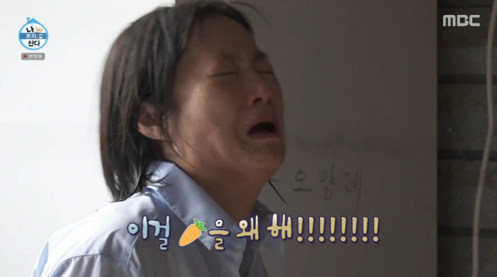 Park Na-rae, I miss my late grandmother's kimchi so much in the refrigerator (Na Hon-san) 