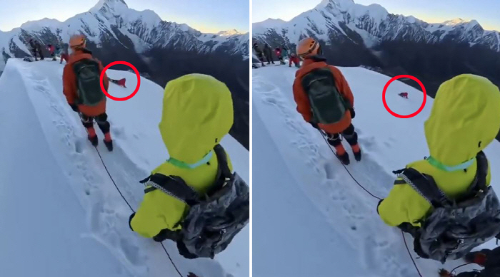 try to take a picture of a tourist... an unbalanced climber's fall