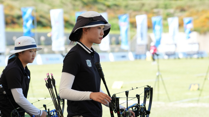  Let's focus on archery literature