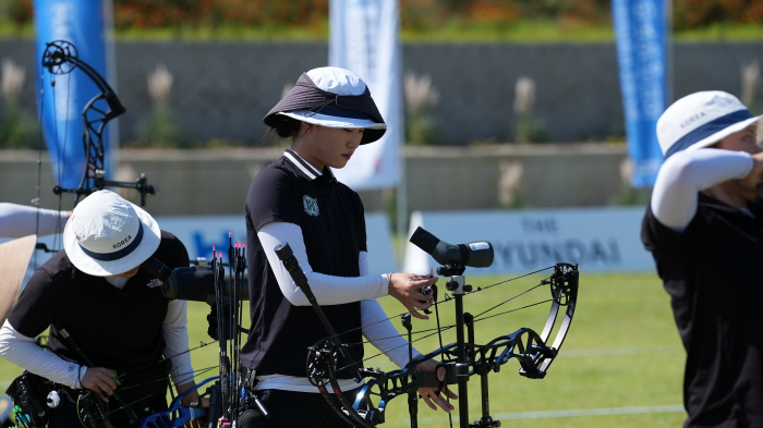  Shall we start the archery literature