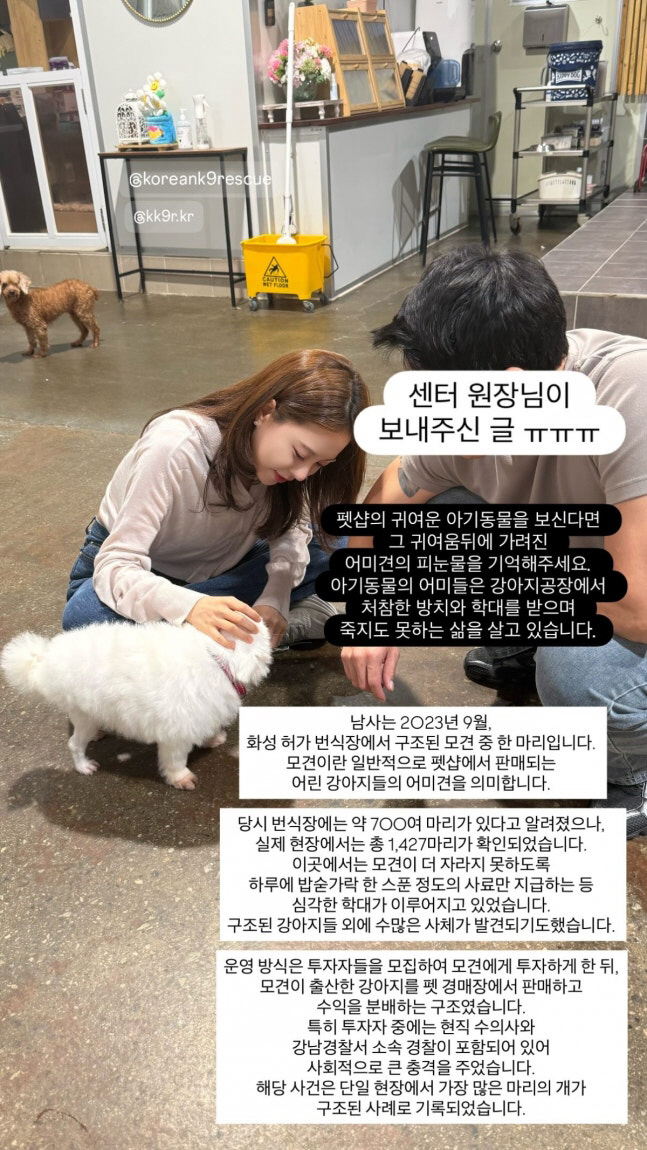 Divorce → Buy 6.6 billion houses, let's walk only the flower path for adoption of breeding ground rescue dogs that gave birth to 50 babies