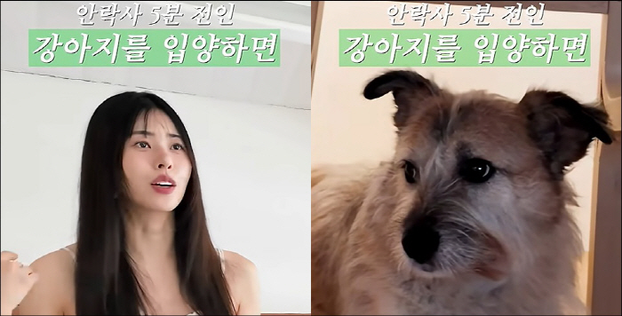 Seo Dong-ju, 5 minutes before euthanasia, I was afraid that he would bite me on the day of adoption of abandoned dogs