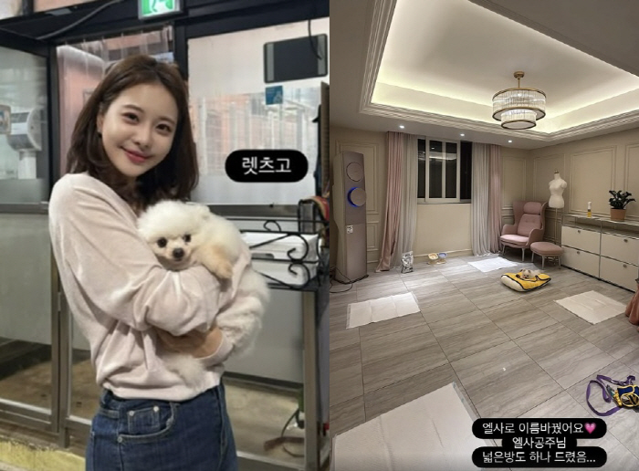 6.6 billion won, gave a luxury room for adopted abandoned dogs..Even a special air conditioner