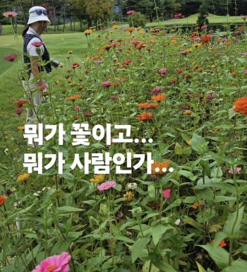 Park Jun-hyung, landlady of 90 pyeong, 9 billion won ♥ Kim Ji-hye explodes with 'Undistinguishable from flowers' silly comments