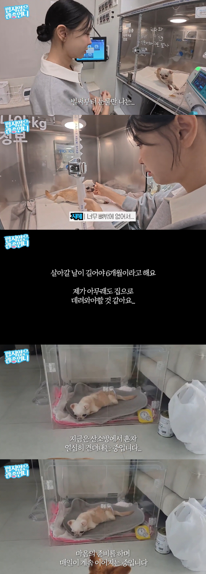 Lee Ji-hye sobbed at the sad news Sentenced to a six-month time limit..preparing one's mind