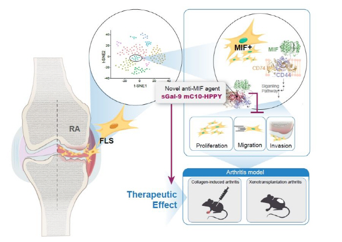 New treatments for rheumatoid arthritis opened up...Suppression of synovial cells that conventional drugs have not caught