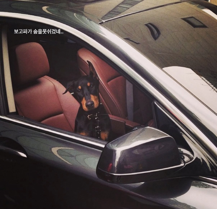 Bae Jeong-nam's Severe Petros Syndrome After Losing His Dog 'Hurts So Much You Can't Breathe'