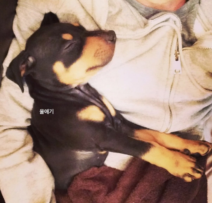 Bae Jeong-nam's Severe Petros Syndrome After Losing His Dog 'Hurts So Much You Can't Breathe'