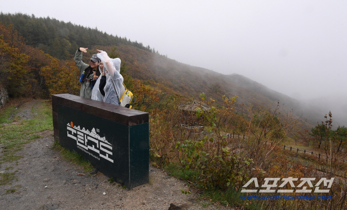  High1 Sky Forest Trail Trekking Festival, a commemorative photo taken on the clouds