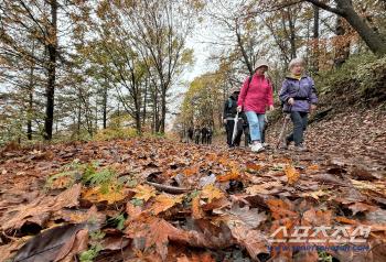  High1 Sky Forest Trail Trekking Festival, participants enjoying the autumn atmosphere