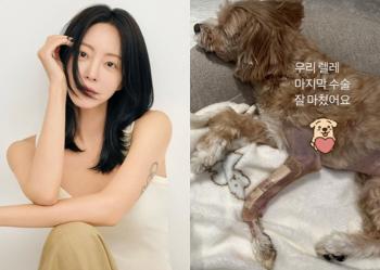 Han Ye-seul completed her last surgery for her pet dog after a fall accident..a sad figure in a bandage