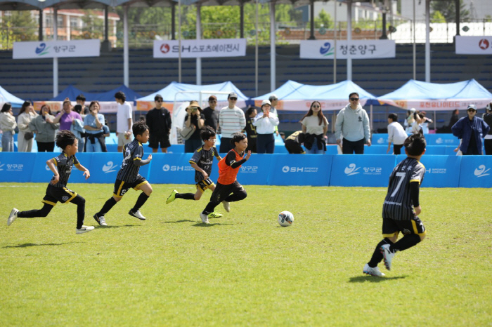 National Youth Soccer Dreamers Gather in Yanggu! 2025 Healing Yanggu Apple Cup National Youth Football Club Festival opens on the 24th