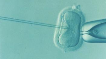 In vitro babies are more likely to give birth to boys. Why?