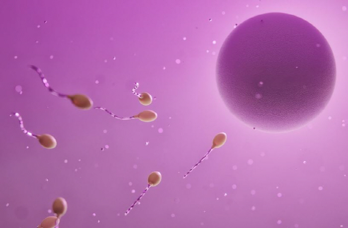 Male's quality of sperm after 43 years of age has declined sharply...Increased accumulation of disease-causing mutations