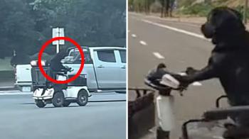 Dog driving, am I mistaken?Who's responsible for an accident? Controversy