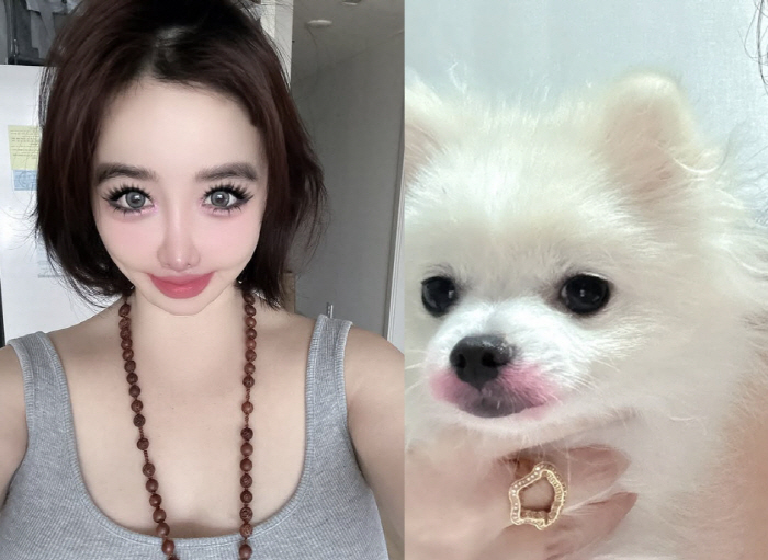 Park Bom and Yang Hyun-seok sued for 2 hours, controversy over animal abuse...Lipstick on your dog. 