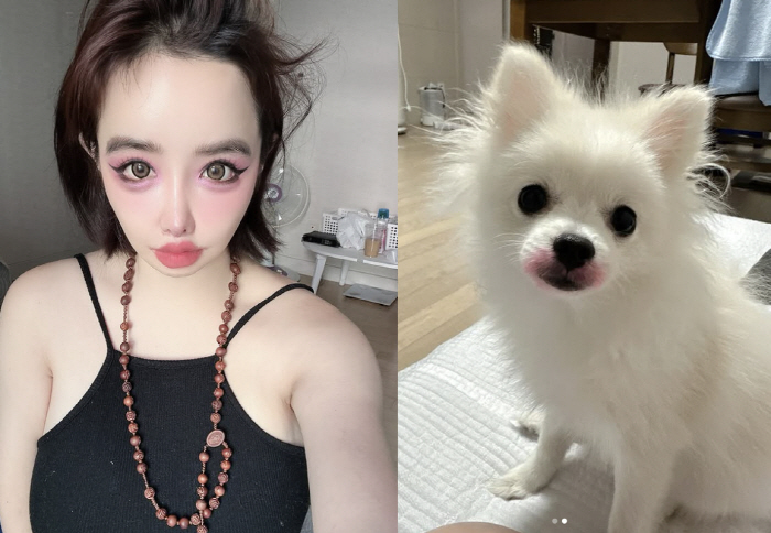 YG Yang Hyun Suk's complaint Park Bom's weird behavior.. Thank you for putting red lipstick on your dog