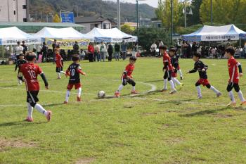 Yanggu, Where Youth Football Dreams Bloom The second day of the 2025 Healing Yanggu Cup National Youth Football Club Festival was held in great success