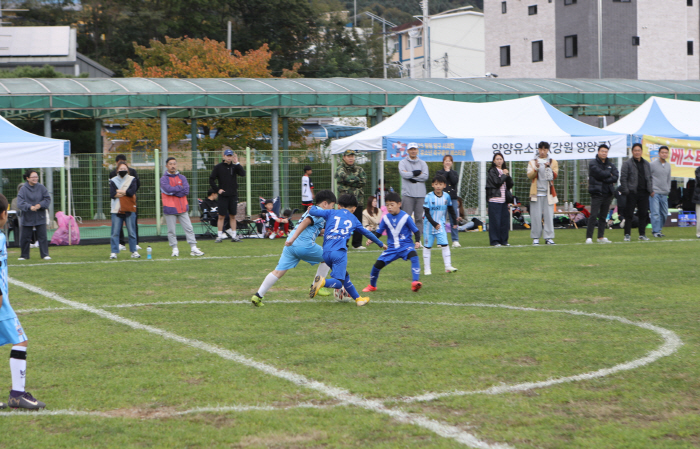Yanggu, Where Youth Football Dreams Bloom The second day of the 2025 Healing Yanggu Cup National Youth Football Club Festival was held in great success