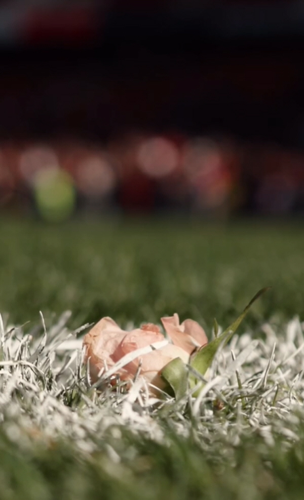 A flower on the field...Alvarez, the most beautiful fan service in the world, for fulfilling her parents' wish to lose their daughter