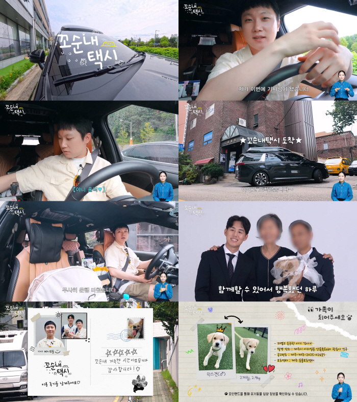 '2.54 million YouTubers.' Pani Bottle suddenly stopped its activities..a fresh start as a taxi driver