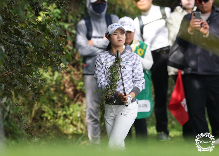 We're so close... Jeju 2 wins, Grand Prize, Rookie of the Year, 3 people 3 colors → One seat, Samchully Three Musketeers, Champion Group championship competition, Jeju Buff Go Ji-won, 3 strokes ahead 