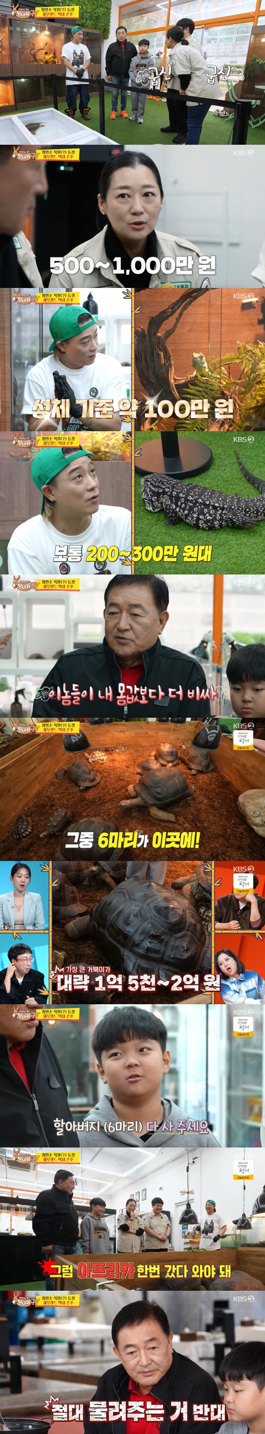 10 billion debt, 10 million won investment in Duri Land..Greedy to buy 200 million turtles (donkey ears)
