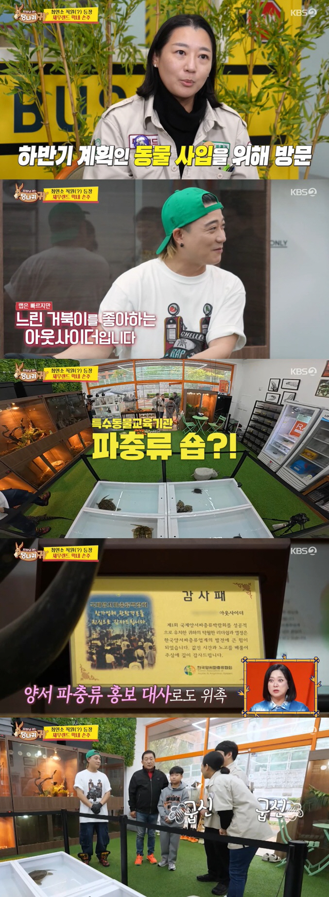 Outsider Becomes Reptile Shop President Full-time Professor of Special Animals