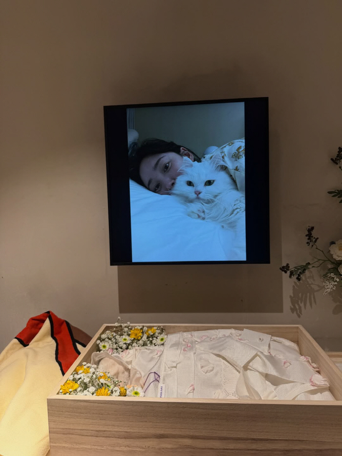 Choi Hee broke the sad news with a princess who has been with her for 10 years