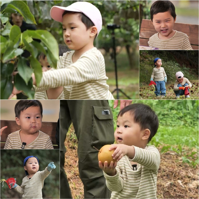 Kim Jun-ho, Jungwoo's pick is Lee Chan-won, the grand prize, rather than his father?I'm going to give you Jindobae. (Sudol)