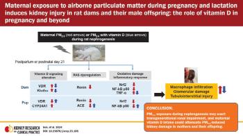 Vitamin D intake during pregnancy and alleviation of maternal and grandchild kidney damage caused by fine dust
