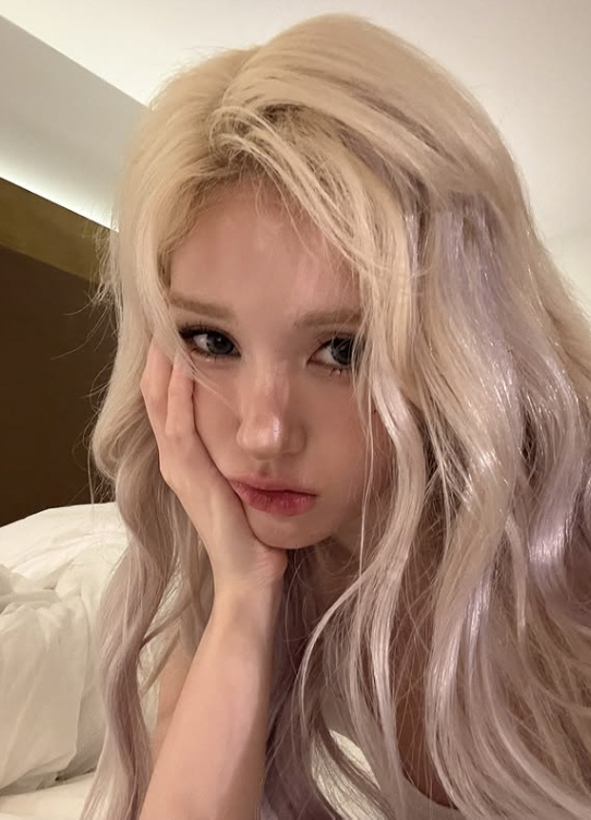  Jeon So-mi brand bowed to unauthorized use of Red Cross logo a clear mistake, prevention of recurrence