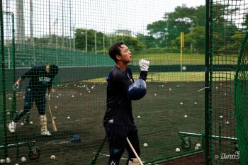 There is a reason why I brought 6,000 balls with me, why did I hit them so hard when I threw up while hitting them? 