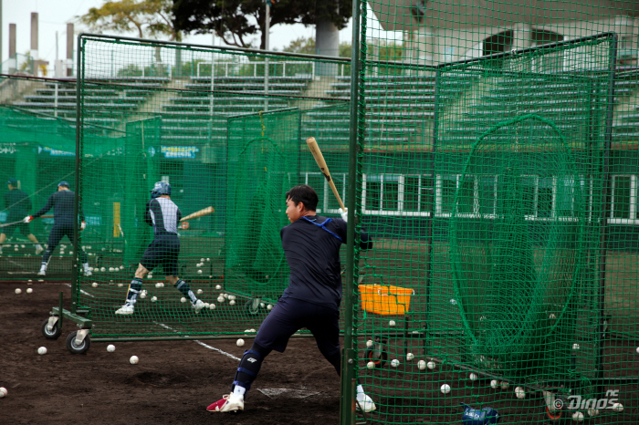 There is a reason why I brought 6,000 balls with me, why did I hit them so hard when I threw up while hitting them?