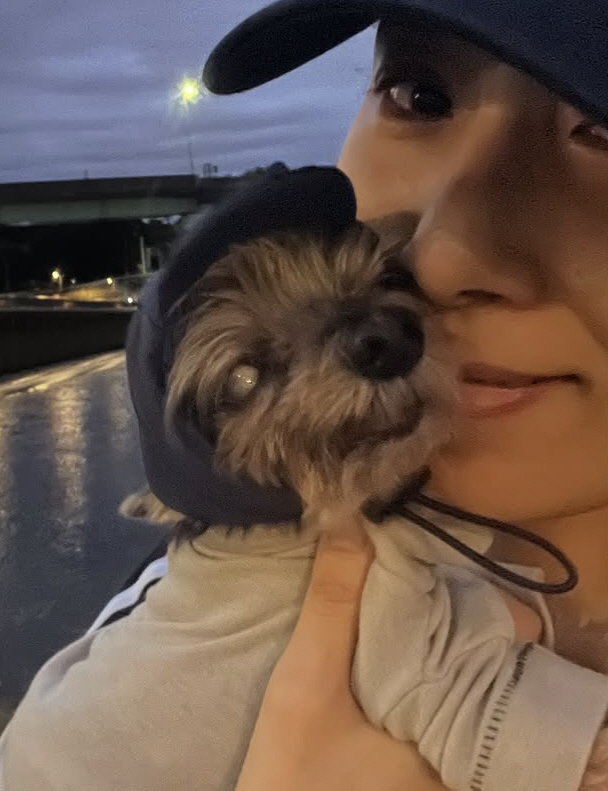 Kim Seo-hyung sent his 20-year-old dog away I can't forget the smile I showed you on my last walk