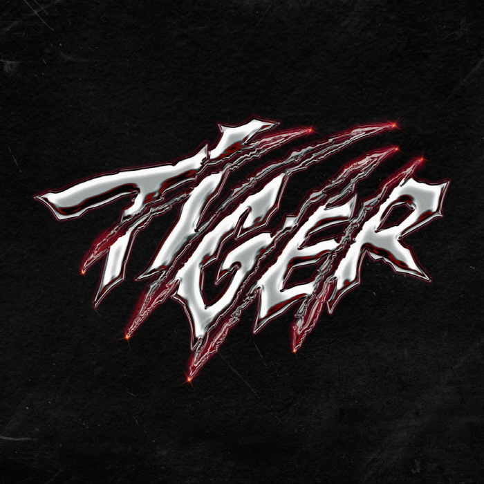 New Unit of THE BOYZ Debuts With Fierce Single ‘Tiger’