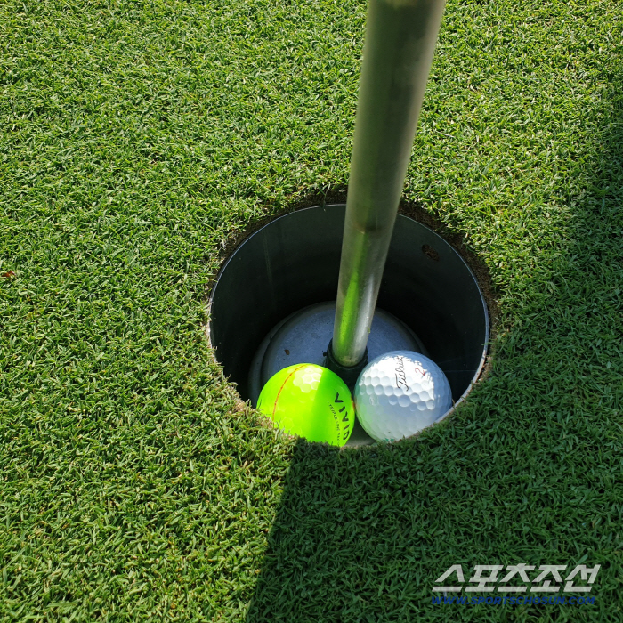 Why can't I pay the cart and caddy option caddy card? Ministry of Culture, Sports and Tourism vs. Korea Golf Course Management Association for Reason Parallel Line, Strengthen Safety Inspection of Golf Course