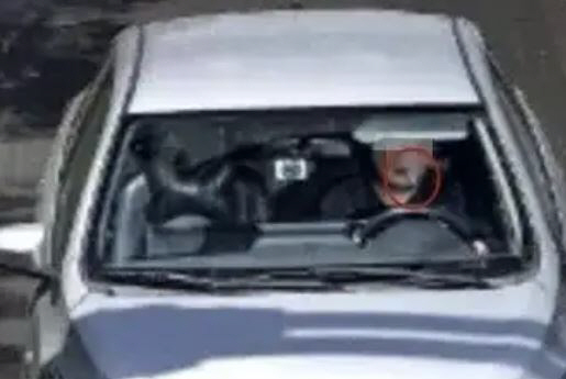 I was flossing my teeth while driving, and I got a warning...an excessive appeal