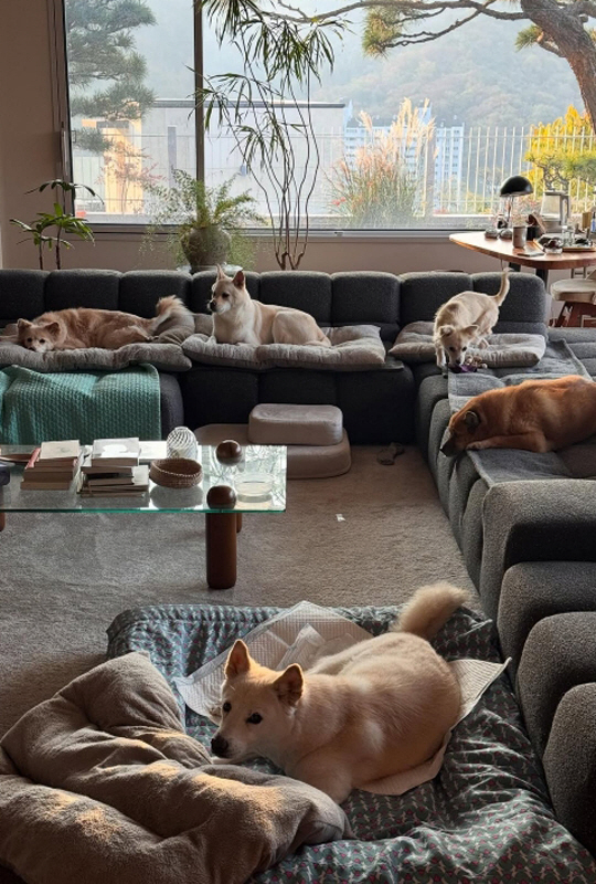 Lee Hyo-ri ♥ Lee Sang-soon, healing in the cozy living room atmosphere of 6 billion won