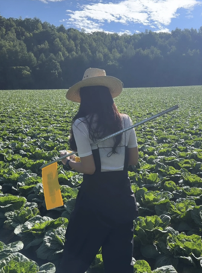 Park Solmi, farming is a big hit..A giant cabbage as big as a human being, is this for real?